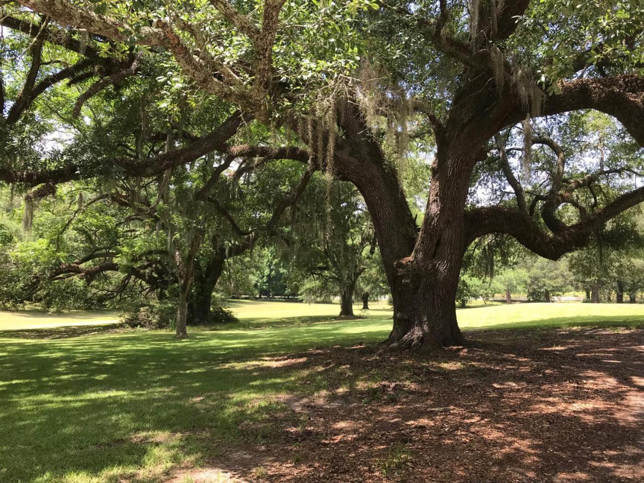 Canemount Plantation Inn Westside Exteriér fotografie